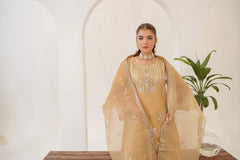 Areej Fancy (Stitched 3 Pcs)
